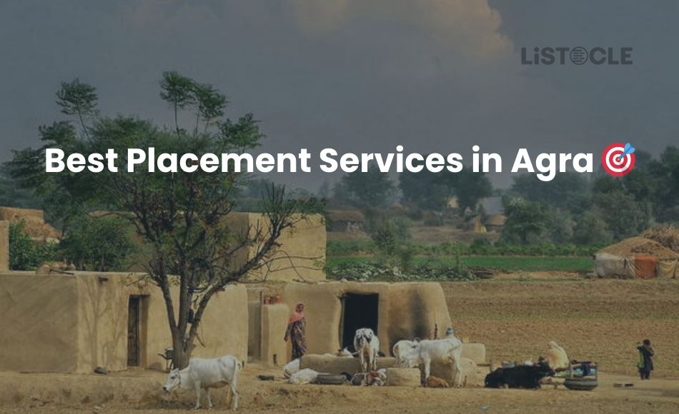 Best Placement Services in Agra