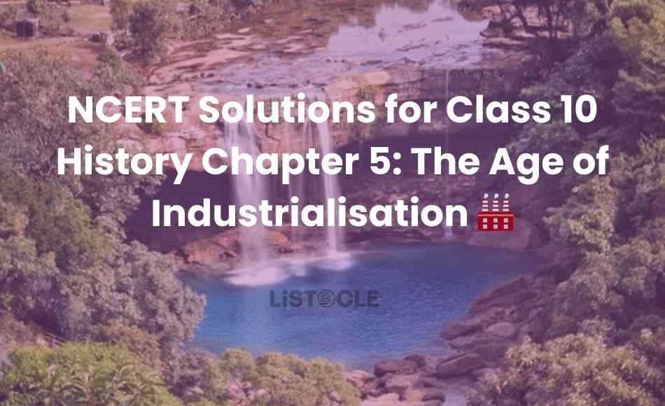 NCERT Solutions for Class 10 History Chapter 5 The Age of Industrialisation