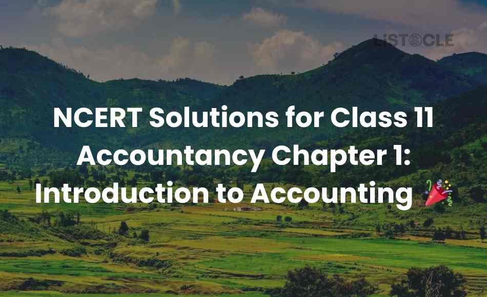 NCERT Solutions for Class 11 Accountancy Chapter 1 Introduction to Accounting