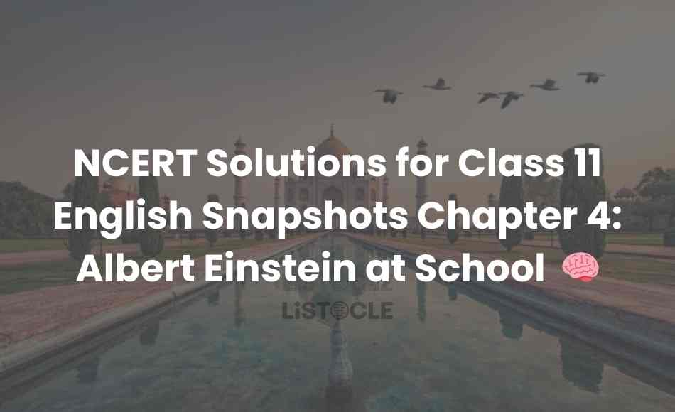 NCERT Solutions for Class 11 English Snapshots Chapter 4 Albert Einstein at School
