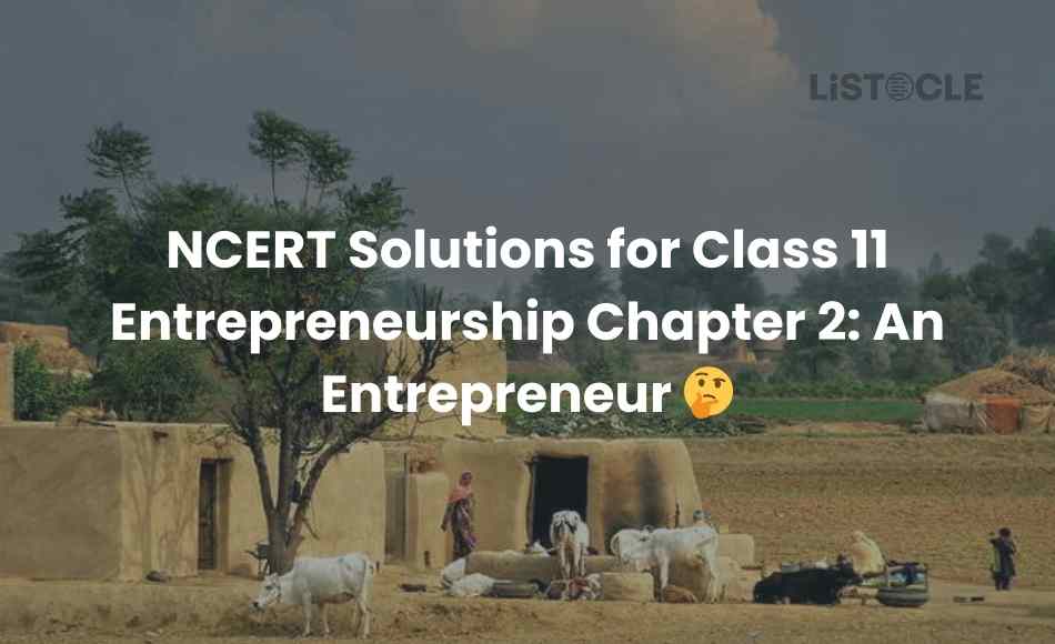 NCERT Solutions for Class 11 Entrepreneurship Chapter 2 An Entrepreneur