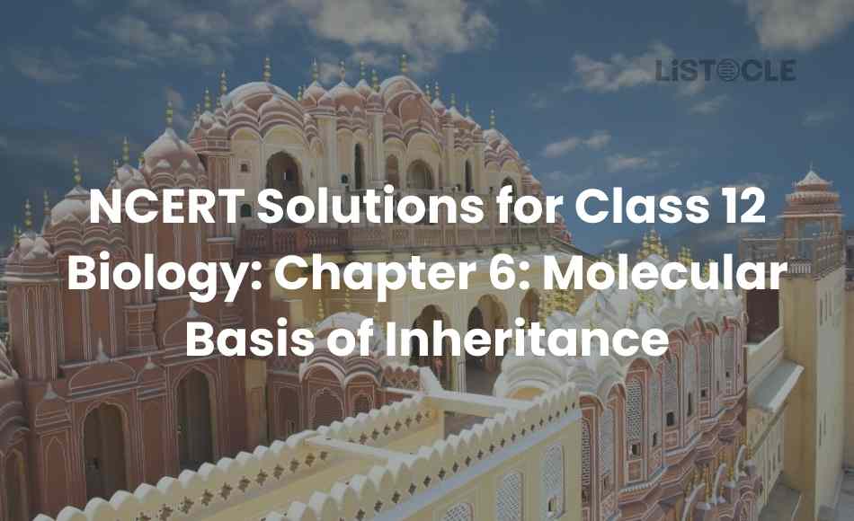 NCERT Solutions for Class 12 Biology Chapter 6_ Molecular Basis of Inheritance