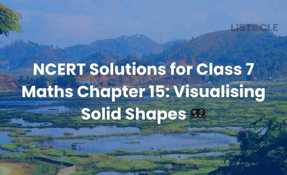 NCERT Solutions for Class 7 Maths Chapter 15 Visualising Solid Shapes