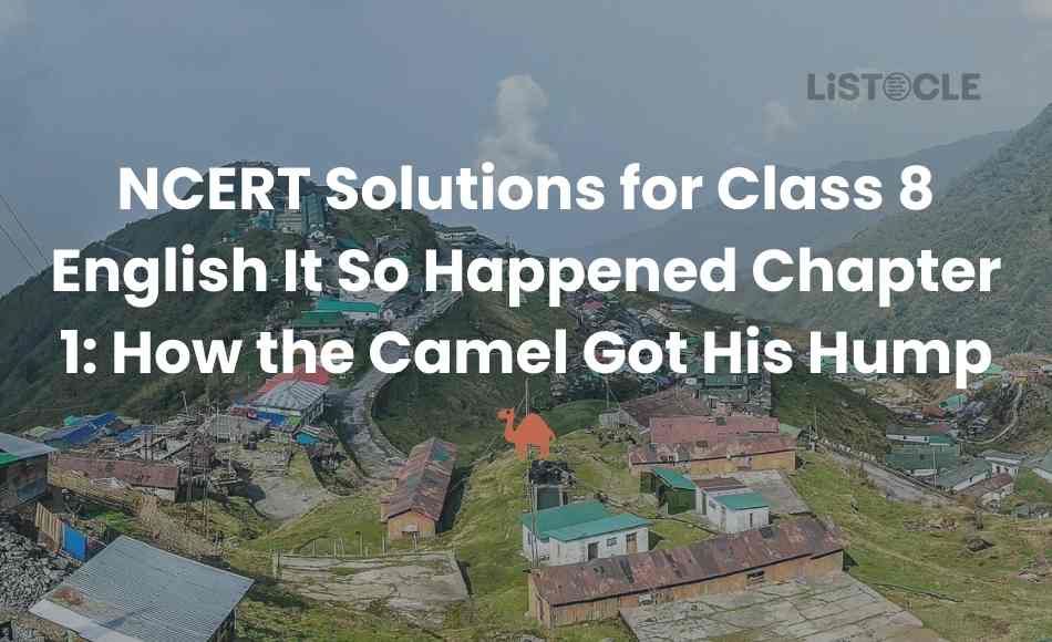 NCERT Solutions for Class 8 English It So Happened Chapter 1 How the Camel Got His Hump