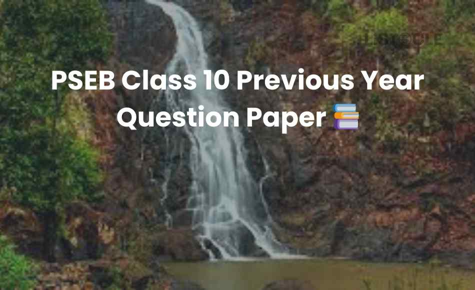 PSEB Class 10 Previous Year Question Paper
