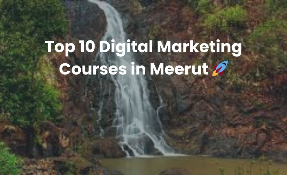 Top 10 Digital Marketing Courses in Meerut